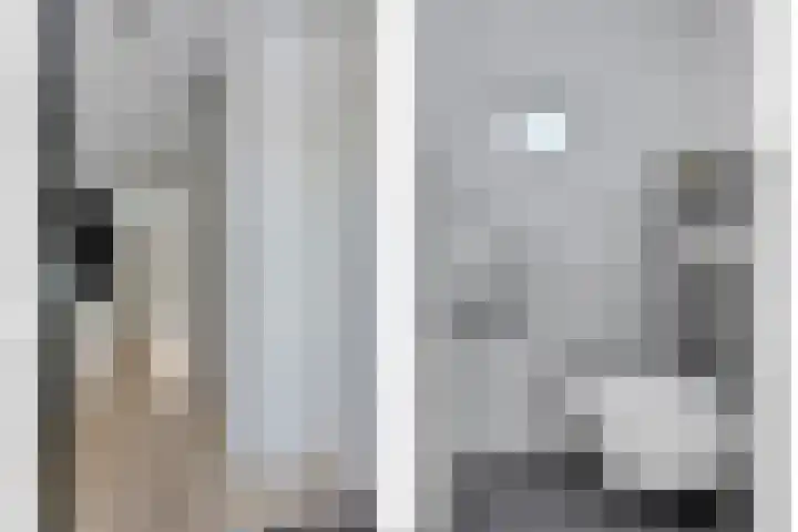 Kransvederkruid 20 Amersfoort thumbnail 6