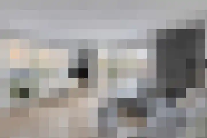 Kransvederkruid 20 Amersfoort thumbnail 7