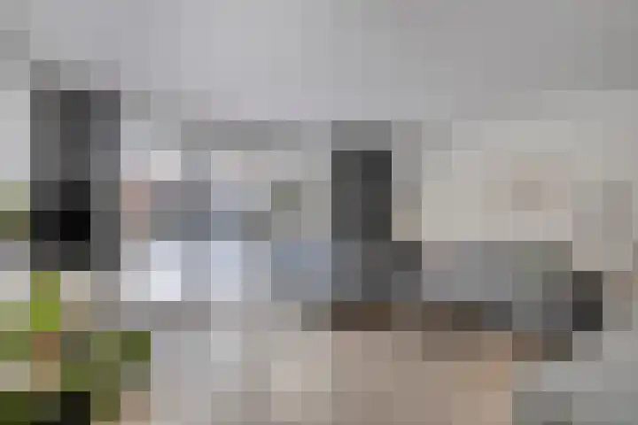 Kransvederkruid 20 Amersfoort thumbnail 8