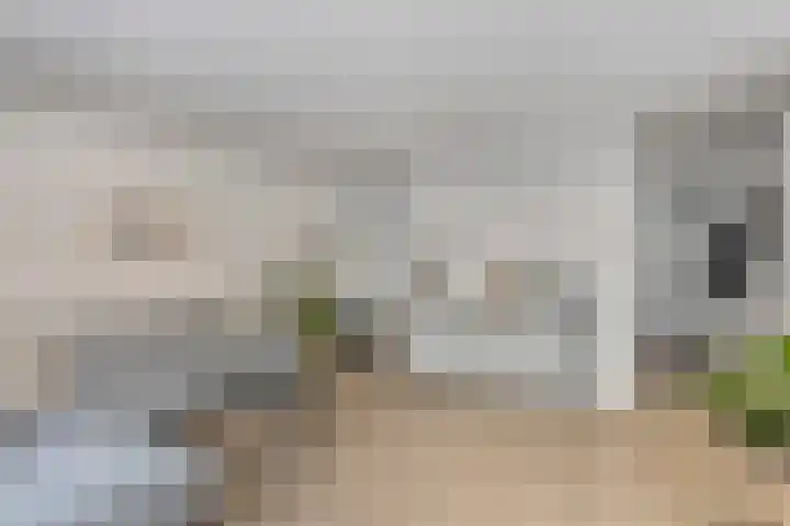 Kransvederkruid 20 Amersfoort thumbnail 9