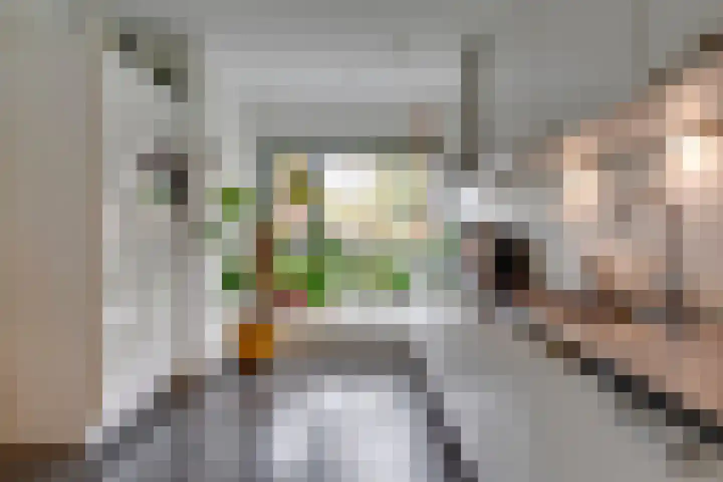 Krantstraat 25 Veenendaal thumbnail 12