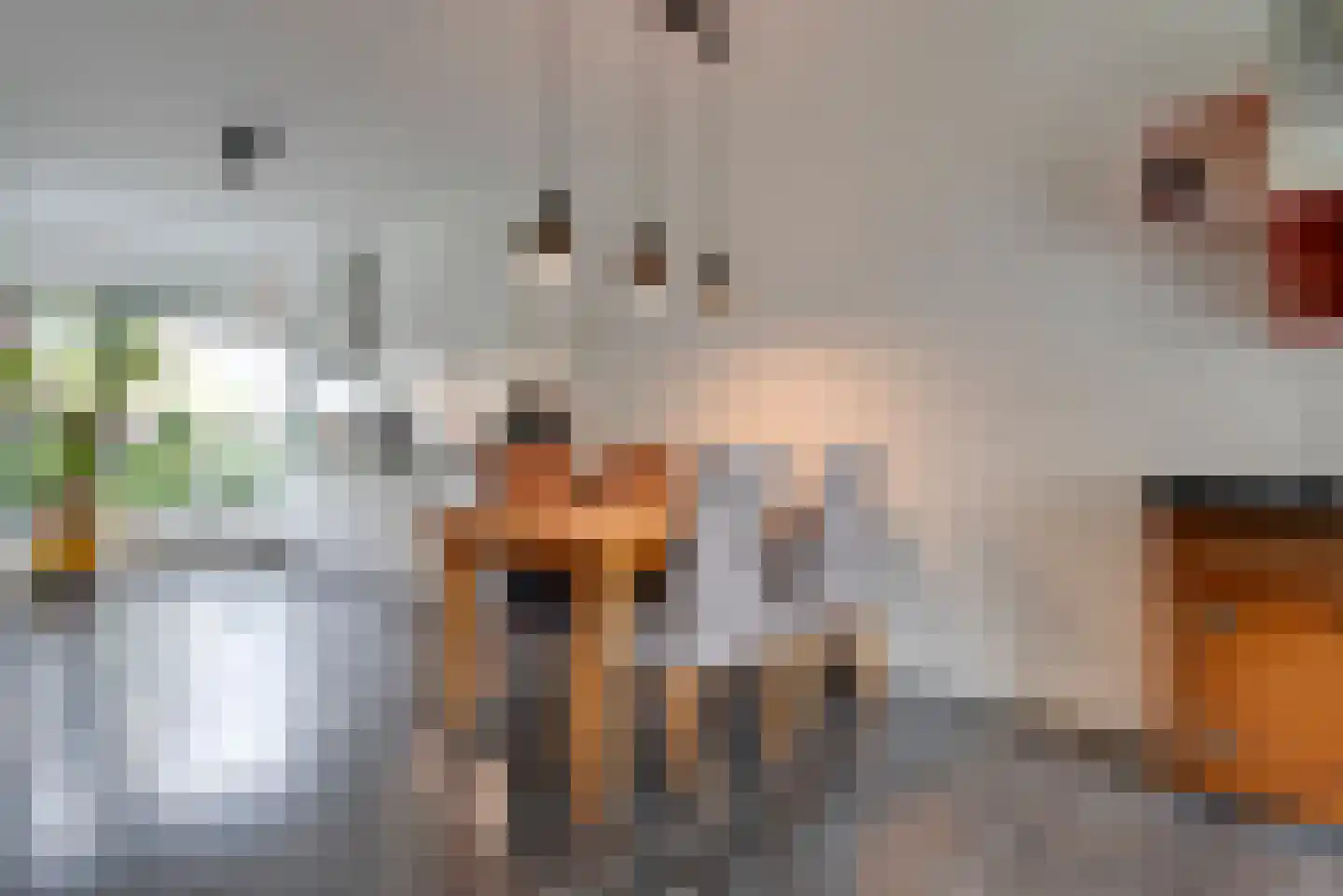 Krantstraat 25 Veenendaal thumbnail 7