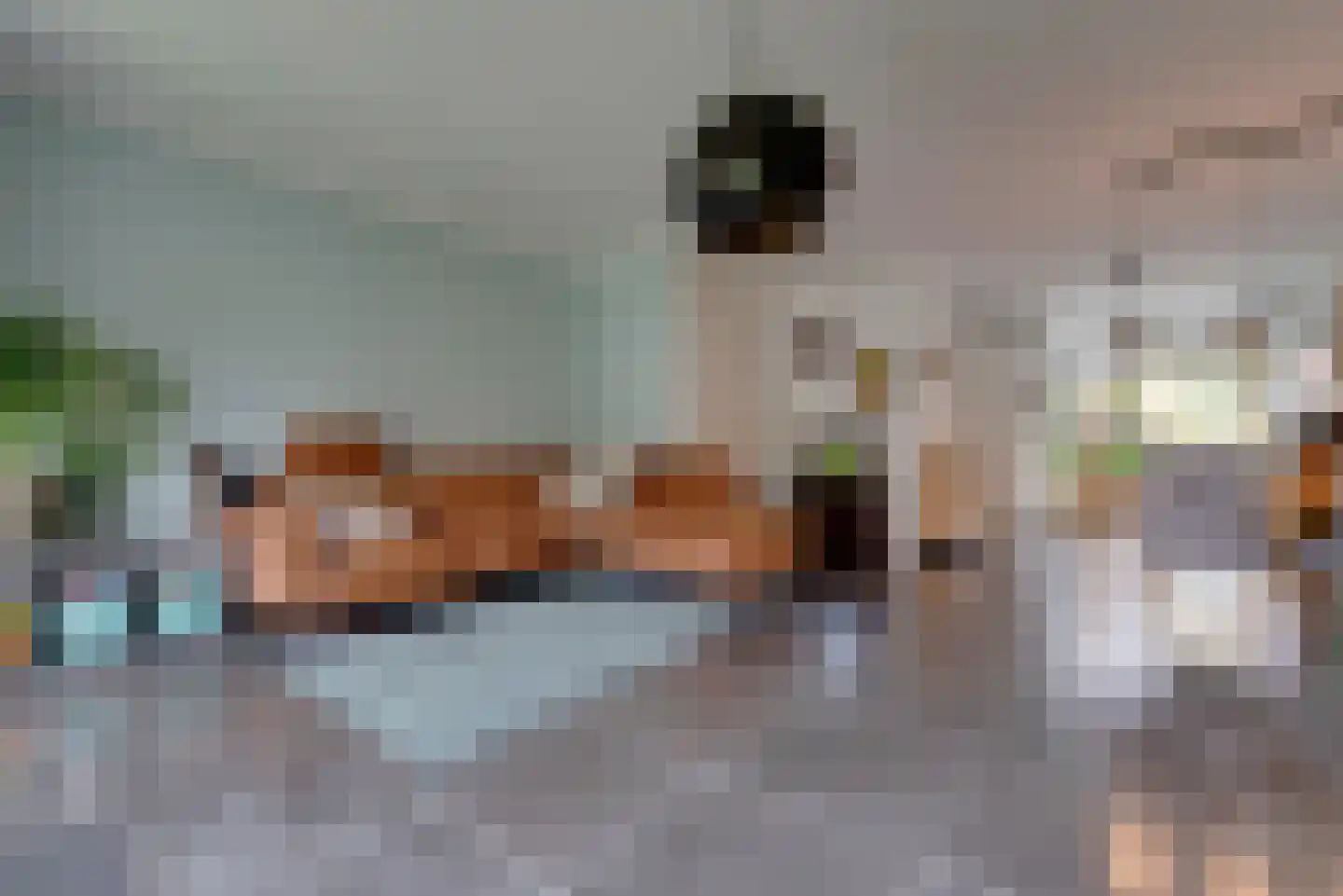 Krantstraat 25 Veenendaal thumbnail 9