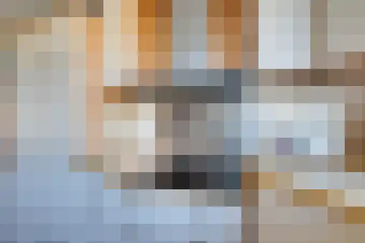 Krasseurstraat 207 Amsterdam thumbnail 23