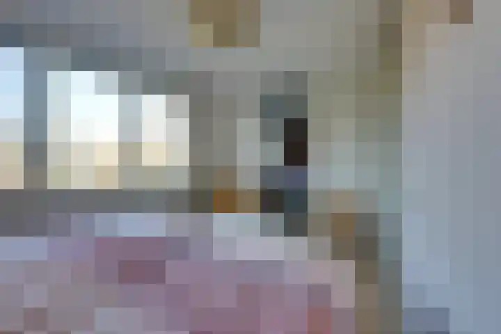 Krasseurstraat 207 Amsterdam thumbnail 31