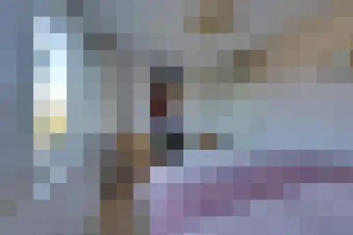 Krasseurstraat 207 Amsterdam thumbnail 32