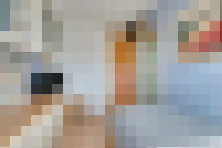 Krasseurstraat 207 Amsterdam thumbnail 37