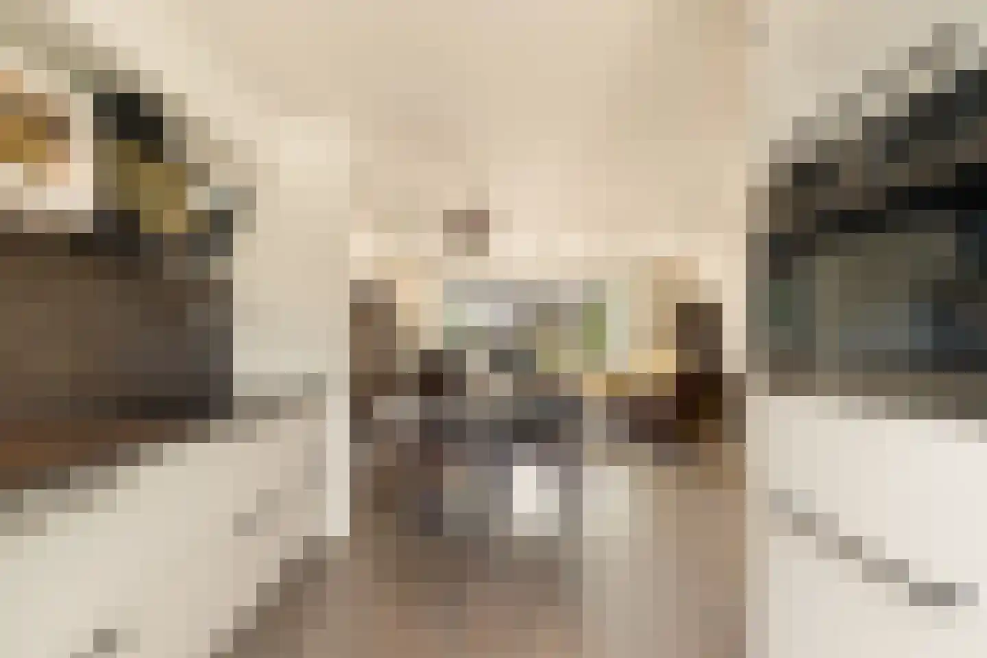 Krasseurstraat 237 Amsterdam thumbnail 10