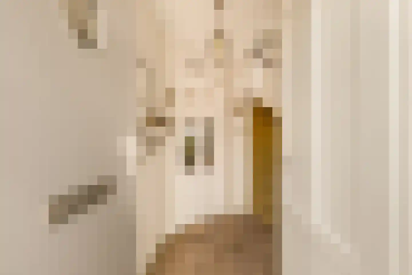 Krasseurstraat 237 Amsterdam thumbnail 6