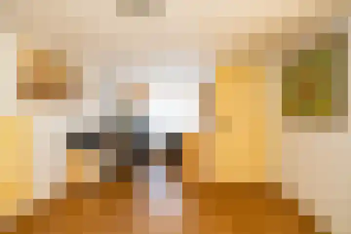 Krassumerstraat 23 Garnwerd thumbnail 31
