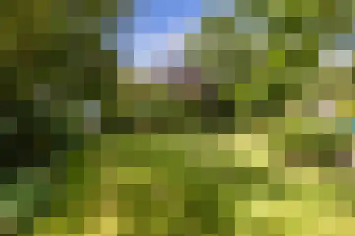 Krassumerstraat 23 Garnwerd thumbnail 35