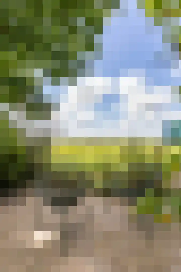 Krassumerstraat 23 Garnwerd thumbnail 39