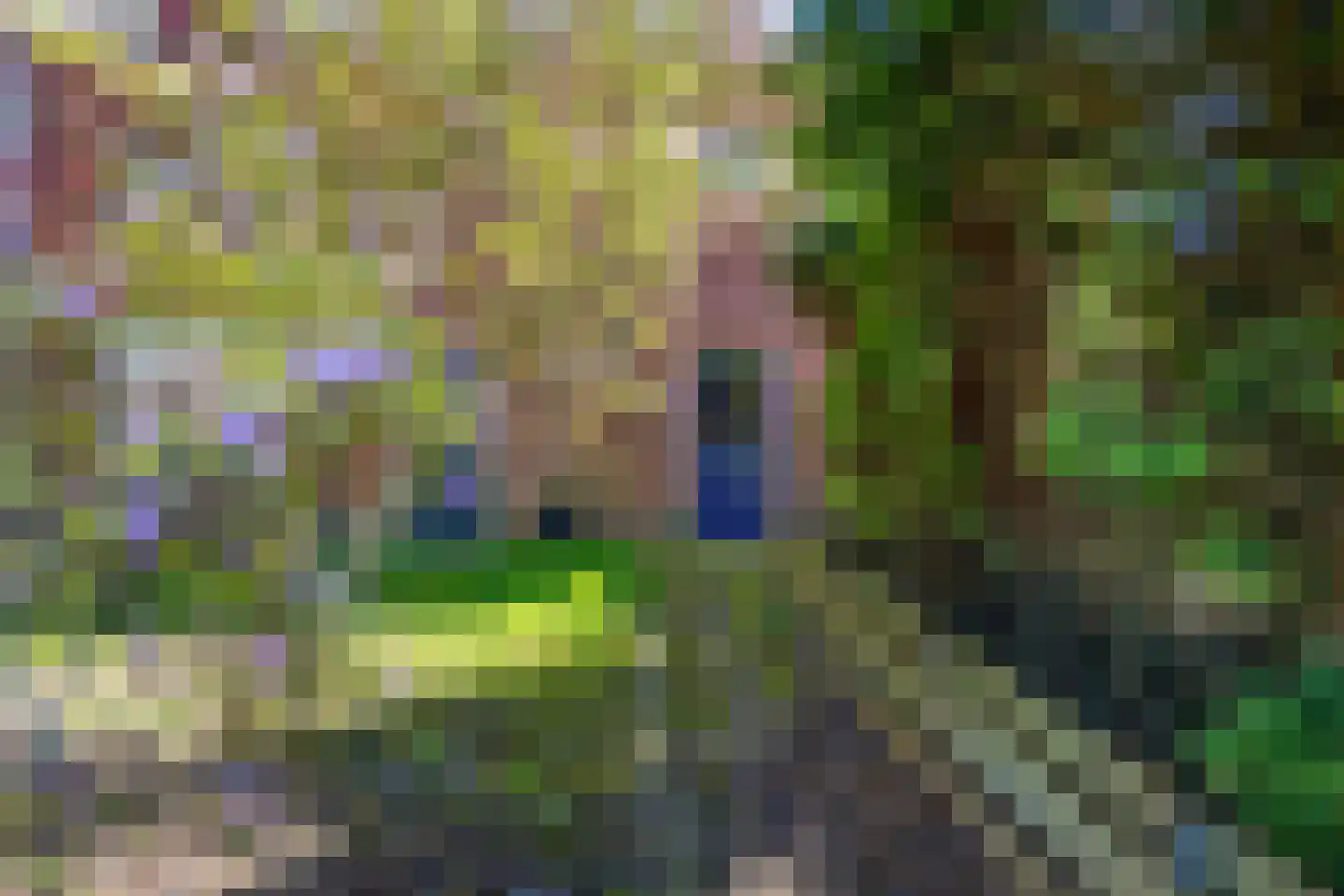 Krassumerstraat 38 Garnwerd thumbnail 4