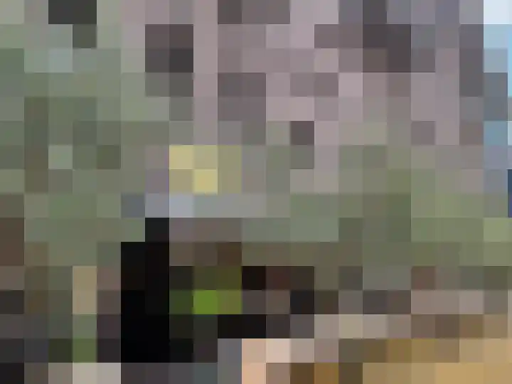 Kratonkade 178 Rotterdam thumbnail 21