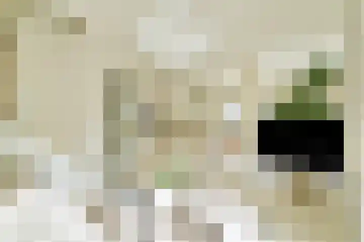 Kratonkade 416 Rotterdam thumbnail 13