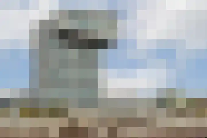 Kratonkade 416 Rotterdam thumbnail 40