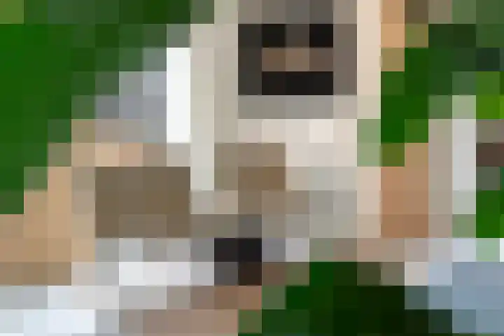 Kratonkade 46 Rotterdam thumbnail 14