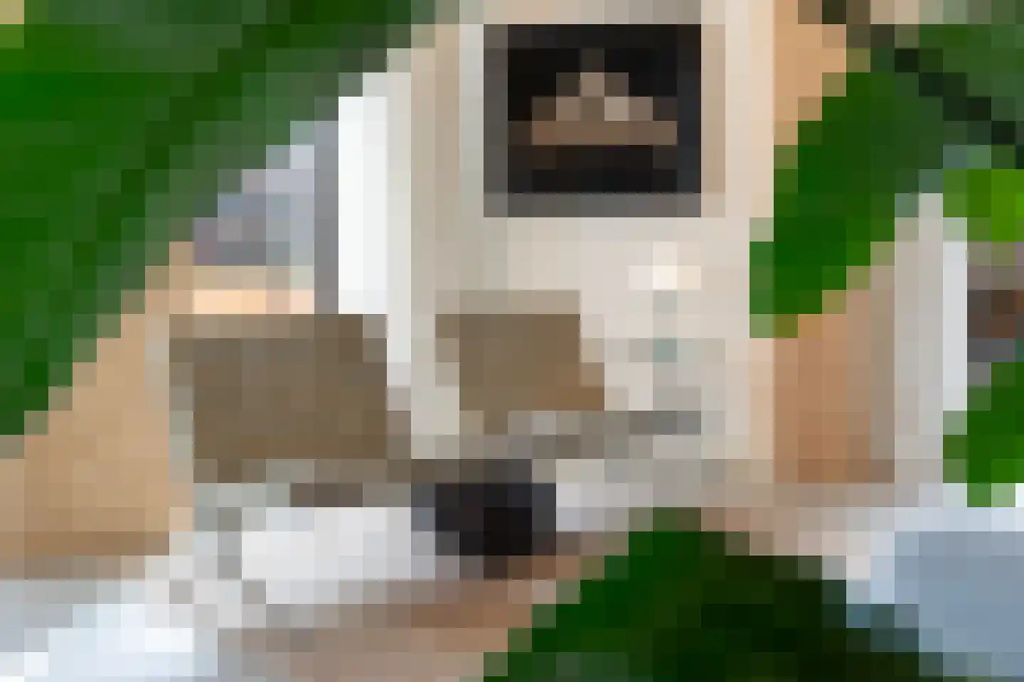 Kratonkade 46 Rotterdam thumbnail 15