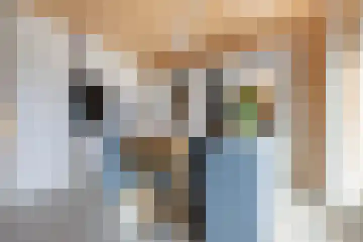 Kratonkade 46 Rotterdam thumbnail 16