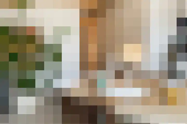 Kratonkade 46 Rotterdam thumbnail 19