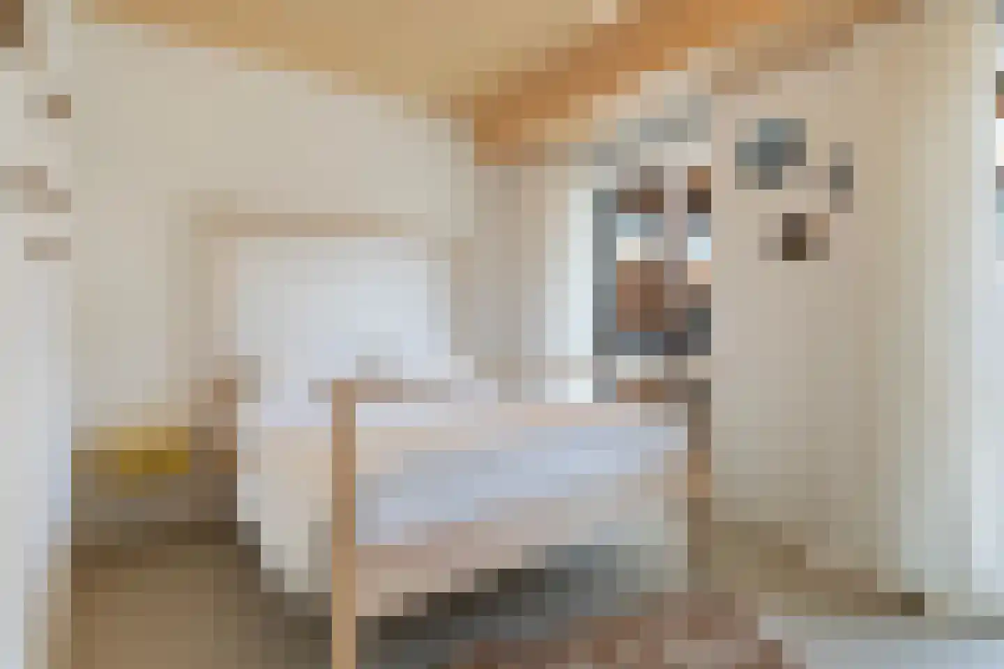 Kratonkade 46 Rotterdam thumbnail 24