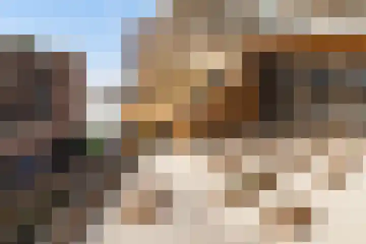 Kratonkade 46 Rotterdam thumbnail 33
