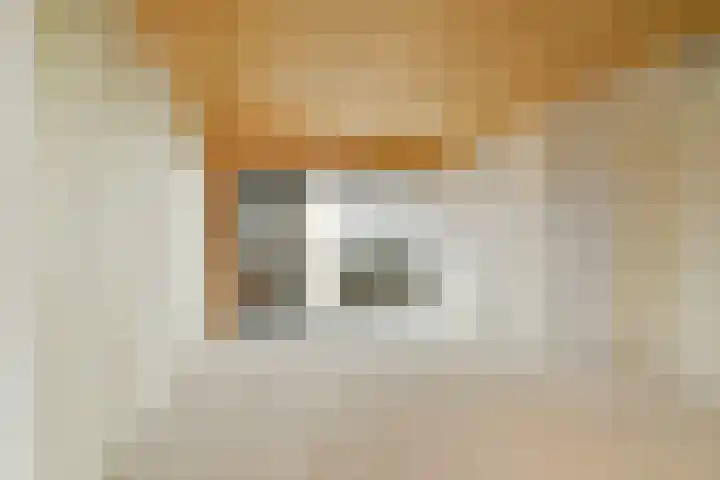 Kratonkade 48 Rotterdam thumbnail 14