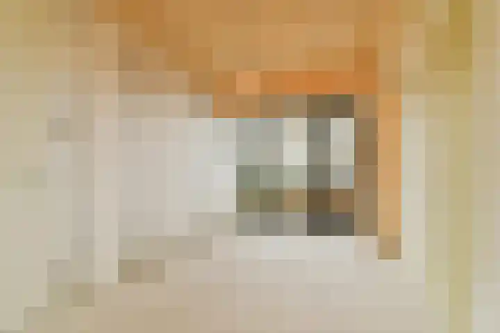 Kratonkade 48 Rotterdam thumbnail 24