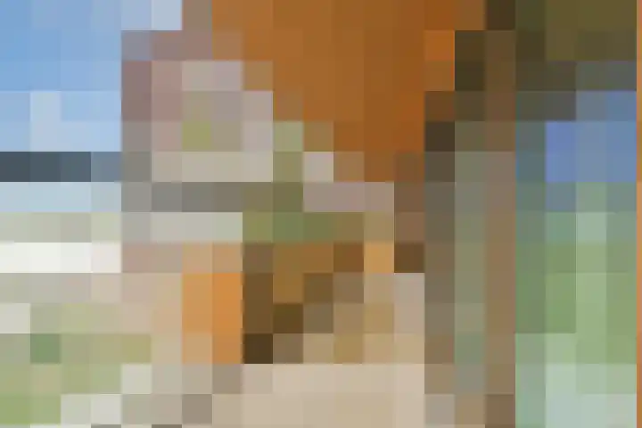 Kratonkade 48 Rotterdam thumbnail 4