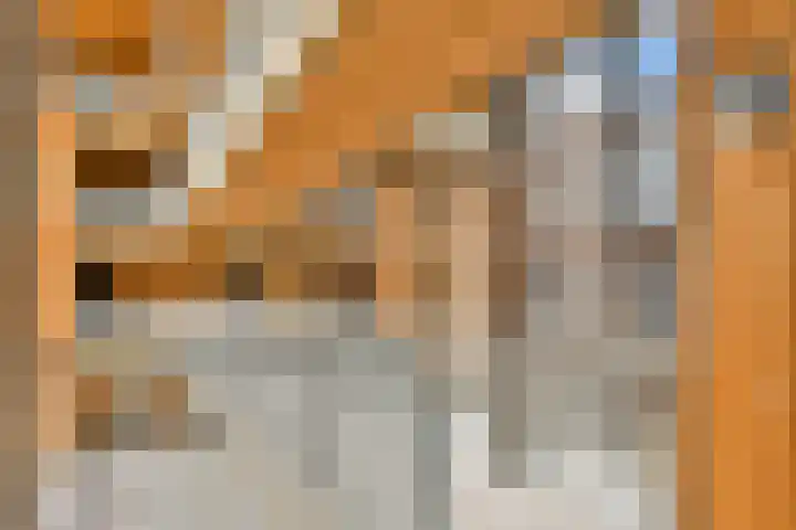 Kratonkade 48 Rotterdam thumbnail 7