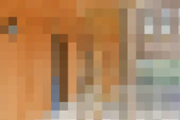 Kratonkade 48 Rotterdam thumbnail 8