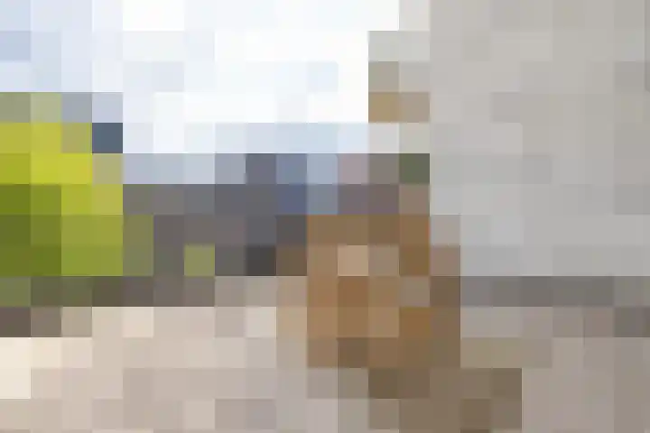 Kratonkade 490 Rotterdam thumbnail 24