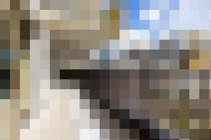 Kratonkade 490 Rotterdam thumbnail 27
