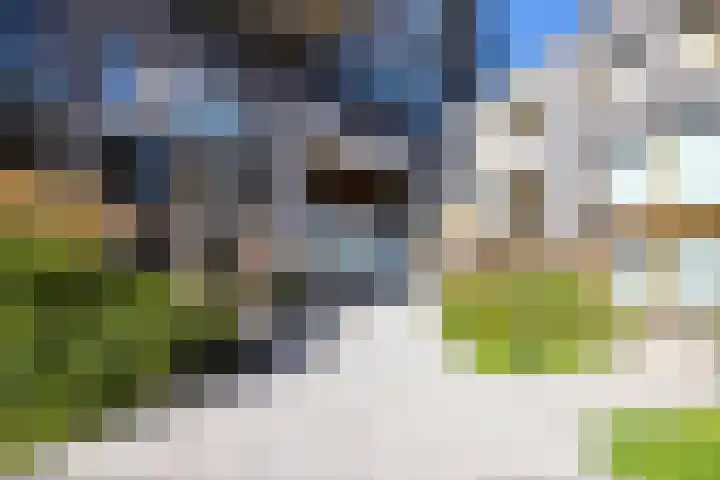 Kratonkade 490 Rotterdam thumbnail 29