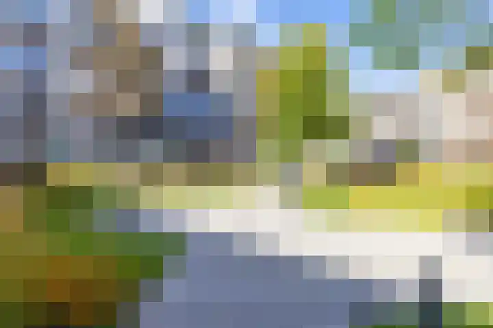 Kratonkade 490 Rotterdam thumbnail 5