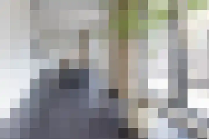 Kratonkade 490 Rotterdam thumbnail 9