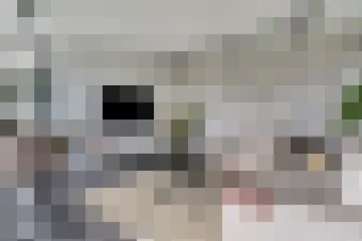 Kratonkade 576 Rotterdam thumbnail 10