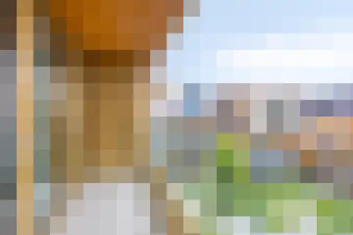 Kratonkade 576 Rotterdam thumbnail 34
