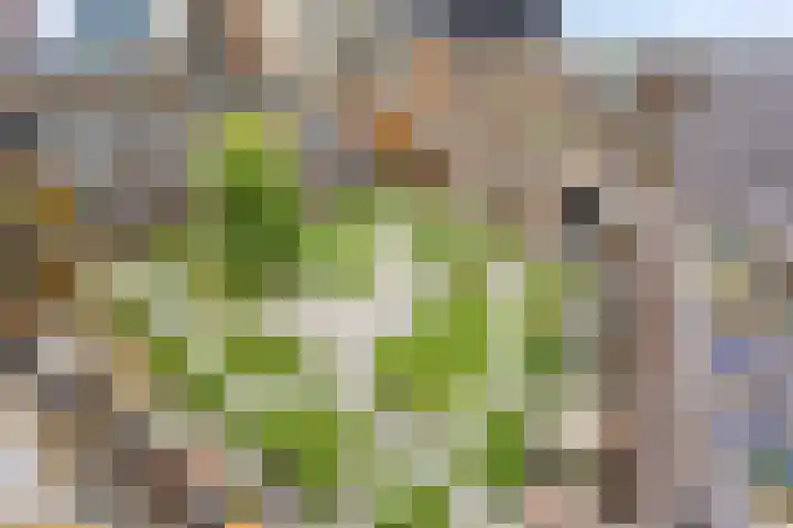 Kratonkade 576 Rotterdam thumbnail 35