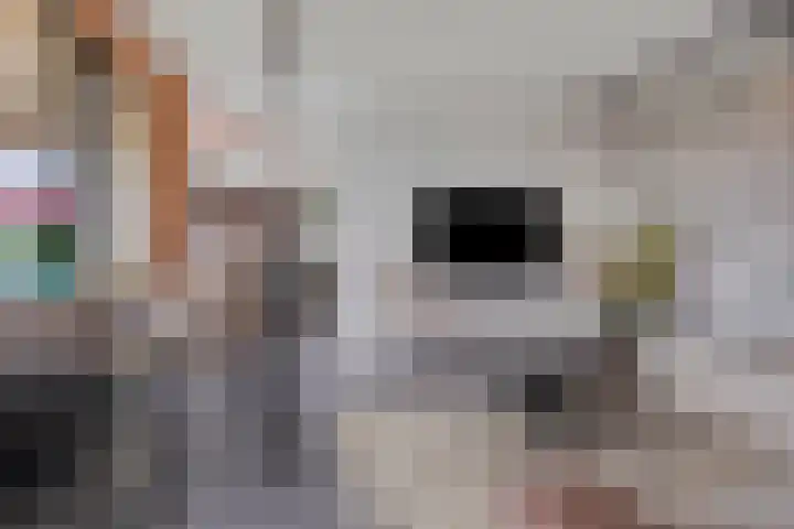 Kratonkade 576 Rotterdam thumbnail 9