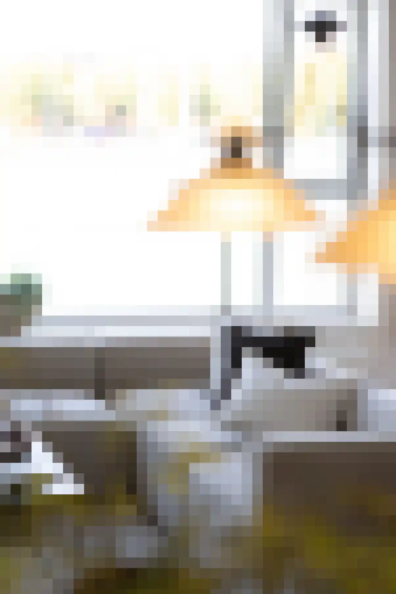 Kratonkade 604 Rotterdam thumbnail 11