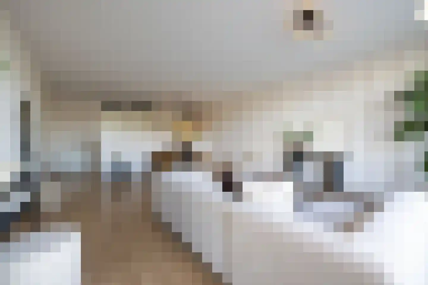Kratonkade 604 Rotterdam thumbnail 14
