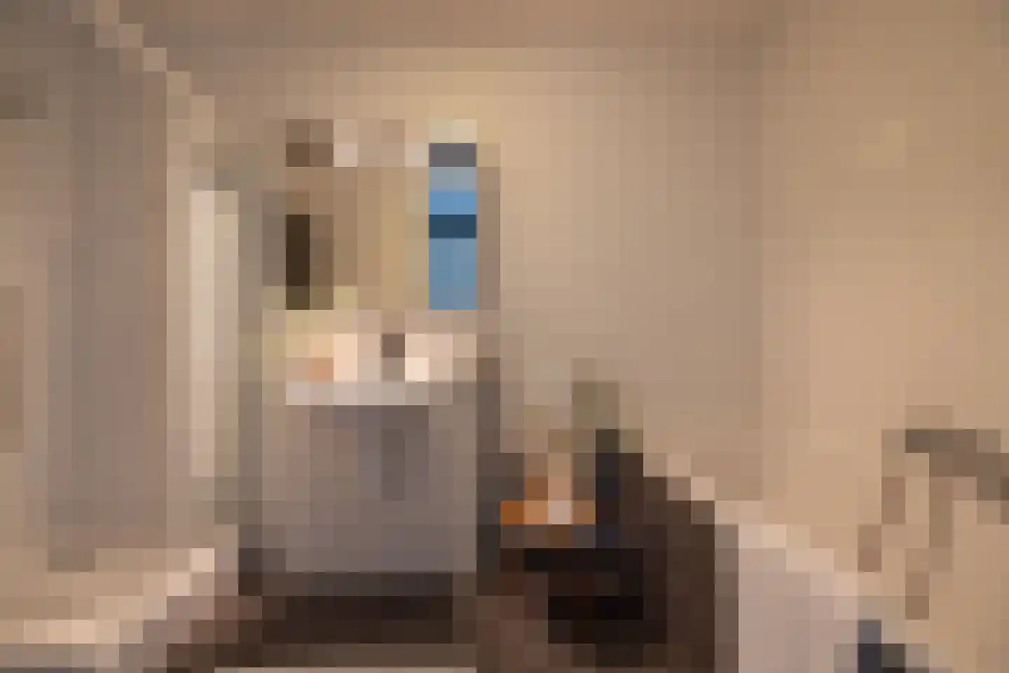Kratonkade 604 Rotterdam thumbnail 27