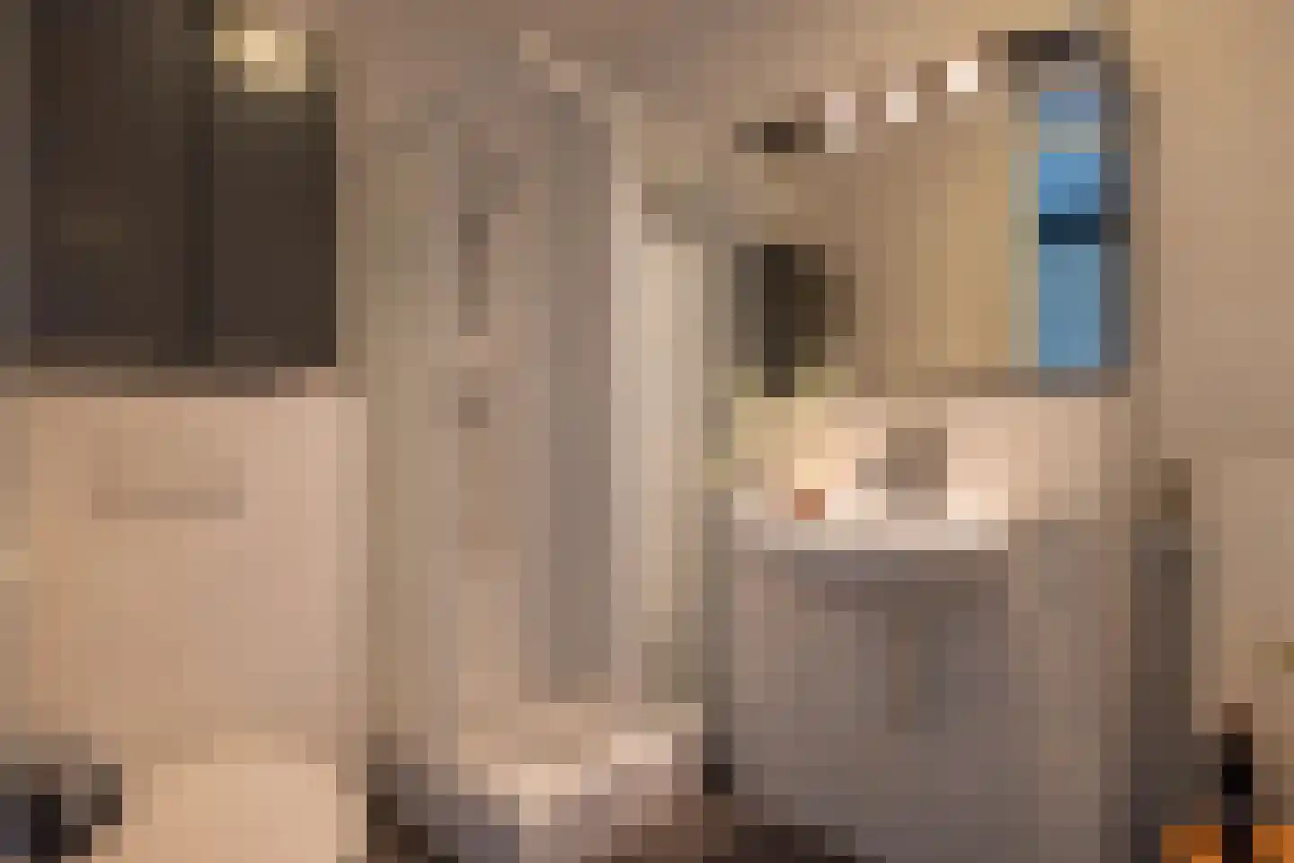 Kratonkade 604 Rotterdam thumbnail 29