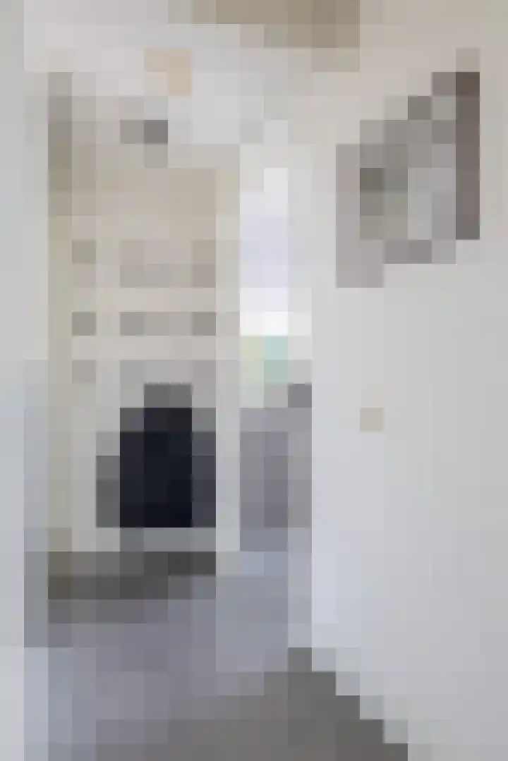 Kratonkade 686 Rotterdam thumbnail 19
