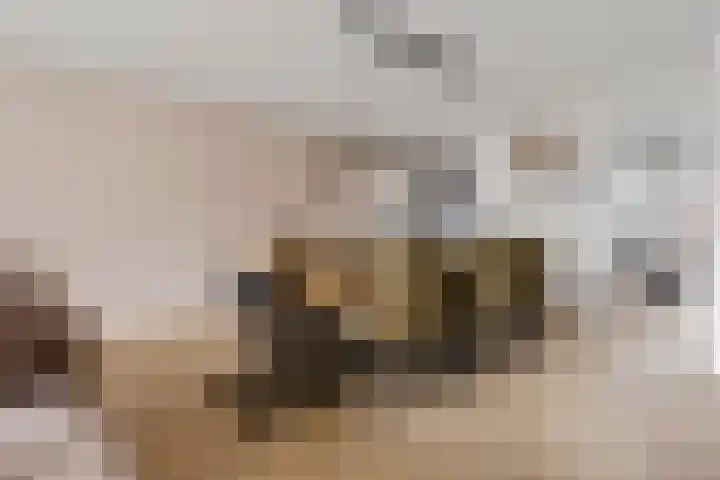 Kratonlaan 72 Zevenhuizen thumbnail 10