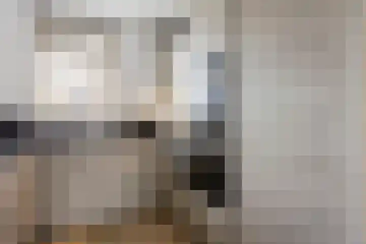 Kratonlaan 72 Zevenhuizen thumbnail 11