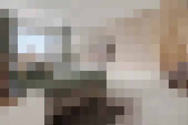 Kratonlaan 72 Zevenhuizen thumbnail 13