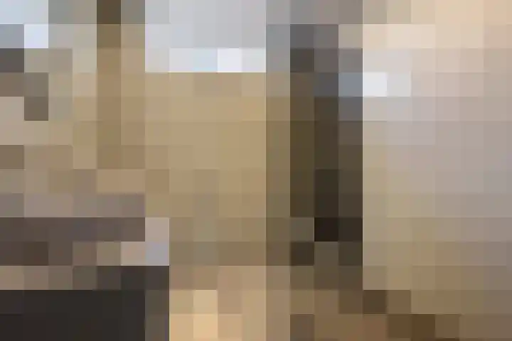 Kratonlaan 72 Zevenhuizen thumbnail 17
