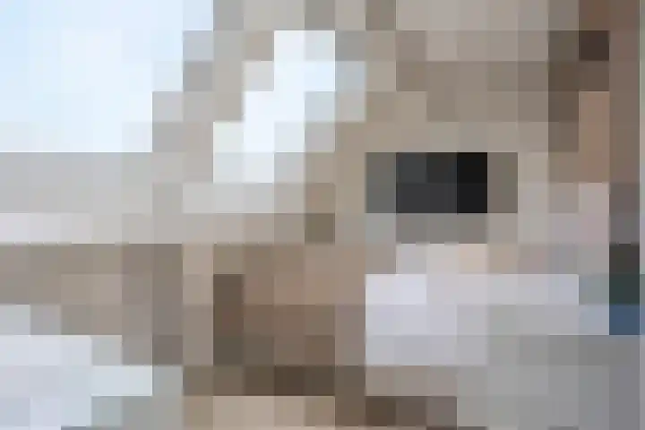 Kratonlaan 72 Zevenhuizen thumbnail 19